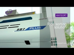 เอสดีพลัส