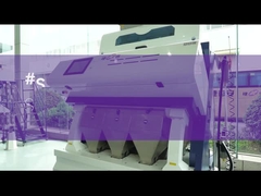 เอส เอฟ กรีนไรซ์